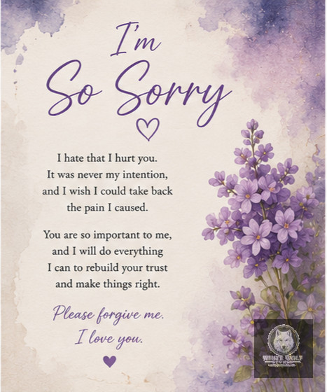Apology 4