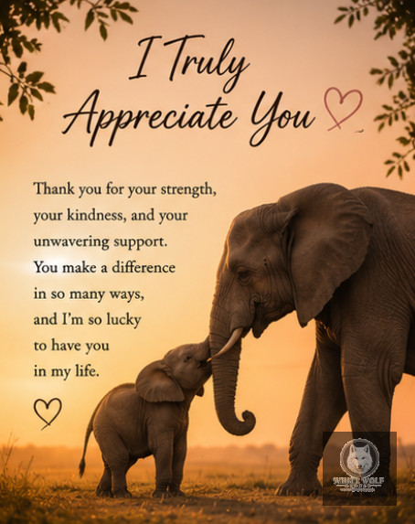 Thank You 6
