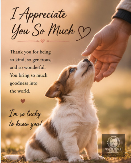 Thank You 9